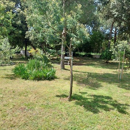 Sweet Apartman Rovinj Kültér fotó